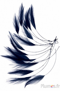 Haan - 10-15 cm - donkerblauw
